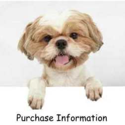 shih tzu puppy supplies miracle shih tzu shih tzu puppy supplies miracle shih tzu
