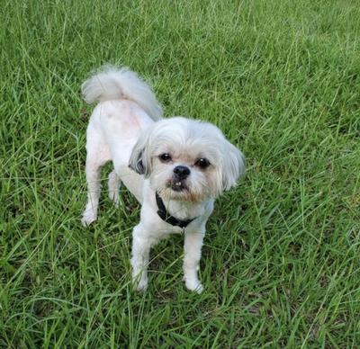 Enjoying the outdoors  Enjoying the outdoors