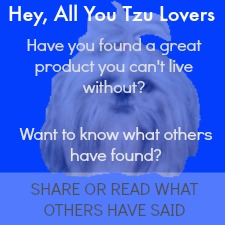 empress shih tzu miracle shih tzu empress shih tzu miracle shih tzu