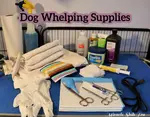 This dog breeding and whelping supplies list will help you prepare for the big day.  Download or read on line to help you prepare.