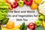 fruits-and-vegetables-for-a-shih-tzu.jpg