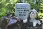 Preparing For Overseas Travel With Your Shih Tzu doesn't have to be rocket science, but a bit of planning will make it more enjoyable