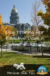 Training for Reactive Dogs in Denver Co. Pin Image