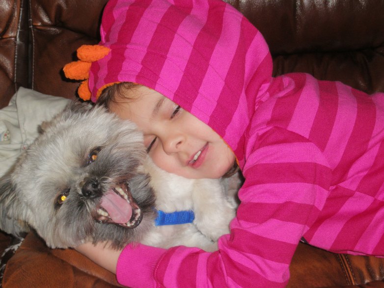 Provide a good diet for your puppy