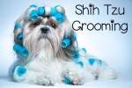 shihtzu-grooming.jpg