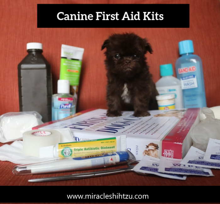 First-aid-kit-mst-700.jpg
