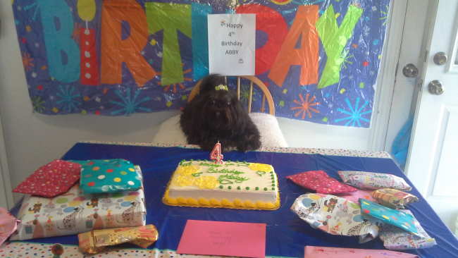 Abby has a cake and tons of presents on her fourth birthday celebration. Abby has a cake and tons of presents on her fourth birthday celebration.