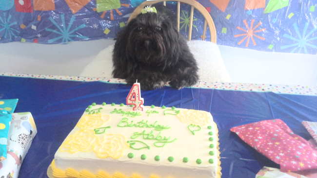 Abby's fourth birthday celebration. Abby's fourth birthday celebration.