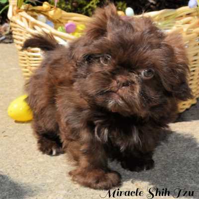 Bebe-Sleepy8.jpg Bebe-Sleepy8.jpg