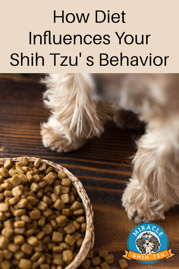 A dog bowl full of food with a fluffy dog nearby in pin image