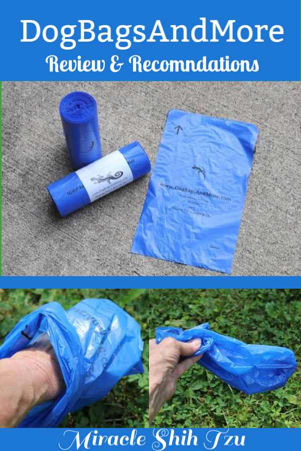 How to Dispose of Dog Poop in an Environmentally Friendly Way