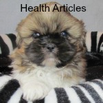 Shih Tzu Health Articles