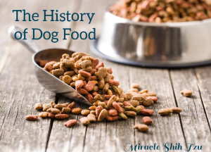 A bowl of dog food behind a scope of dog kibble spread out on a wooden surface