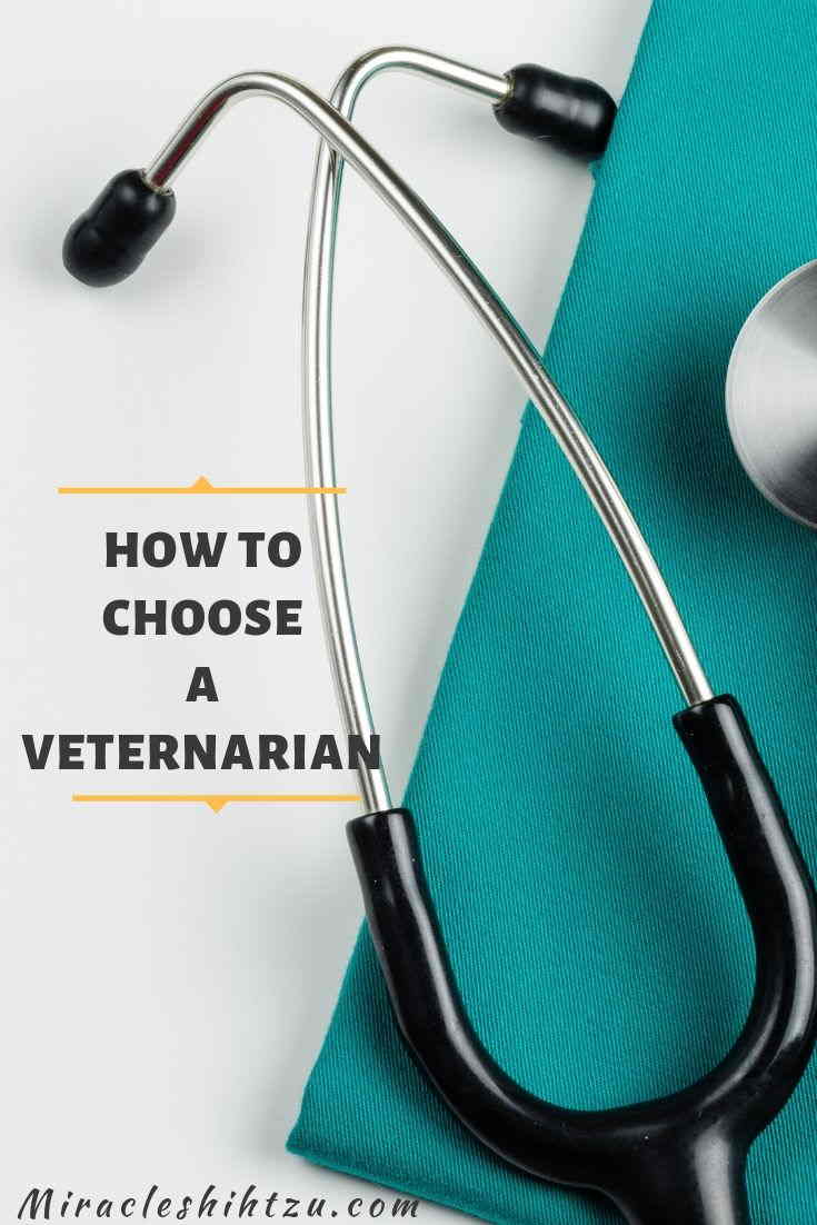 How to Choose a Veterinarian, Pin Image