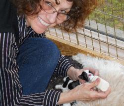 The fun of breeding The fun of breeding