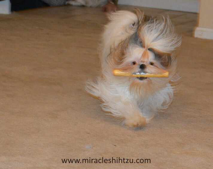 Gabby was extremely excited about the game at first.