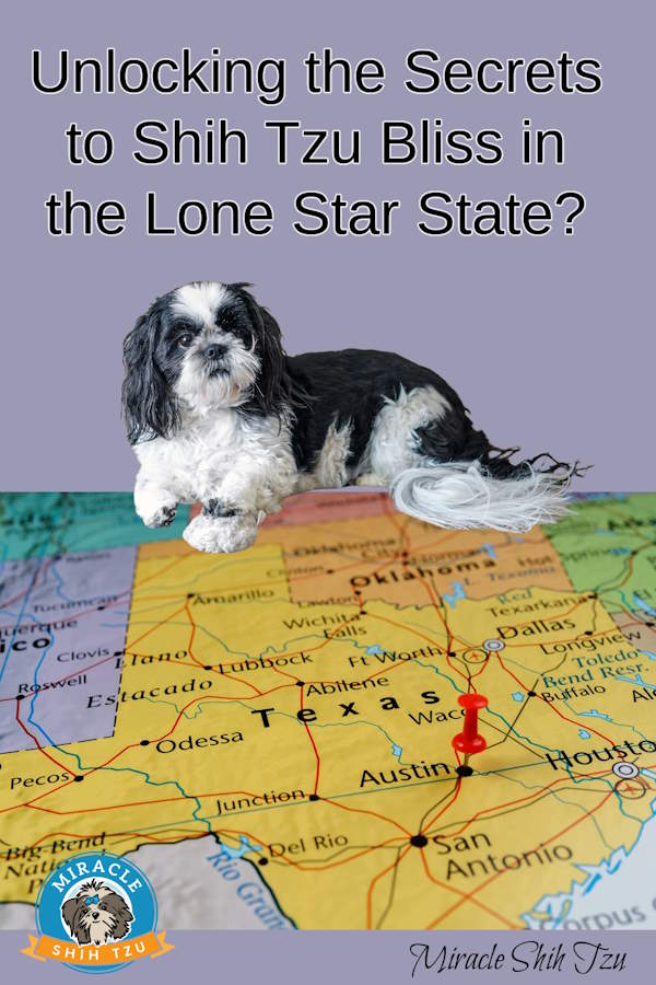 Shih Tzu Bliss Pin includes a black and white Shih Tzu and a map of Texas, USA