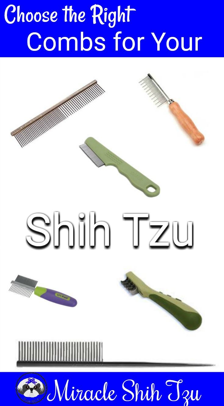 dog comb for shih tzu