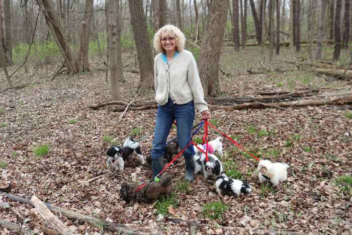 Janice walking some of her dogs Janice walking some of her dogs