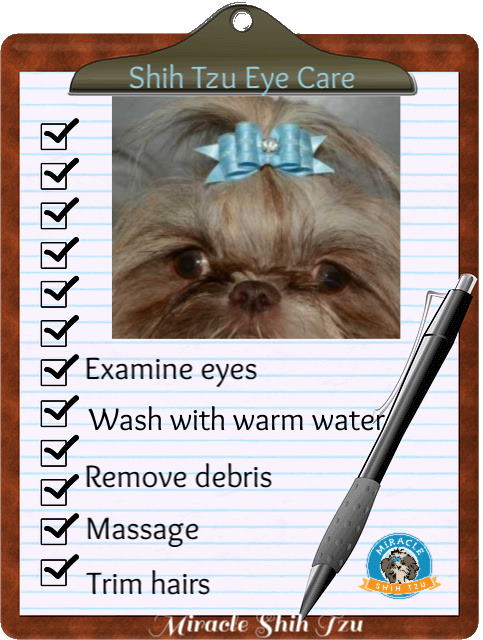Checklist of tasks to do to help keep our Shih Tzu's eyes healthy.