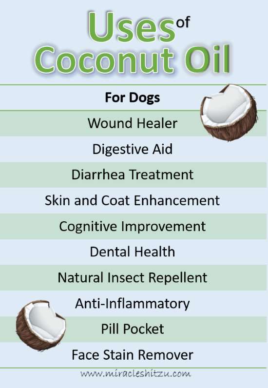 can coconut oil help dogs dry skin