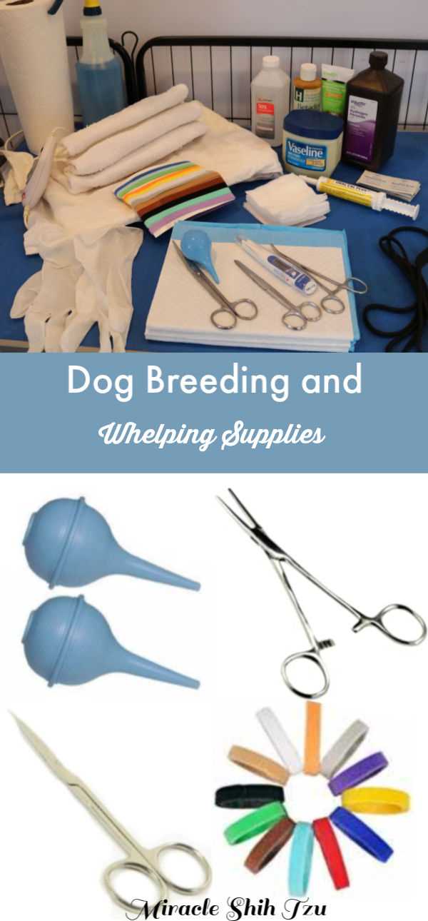 https://www.miracleshihtzu.com/images/dog-breeding-and-whelping-supplies-pin.jpg