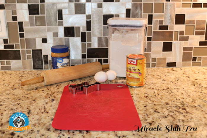 Ingredients and tools needed to make dog treats.