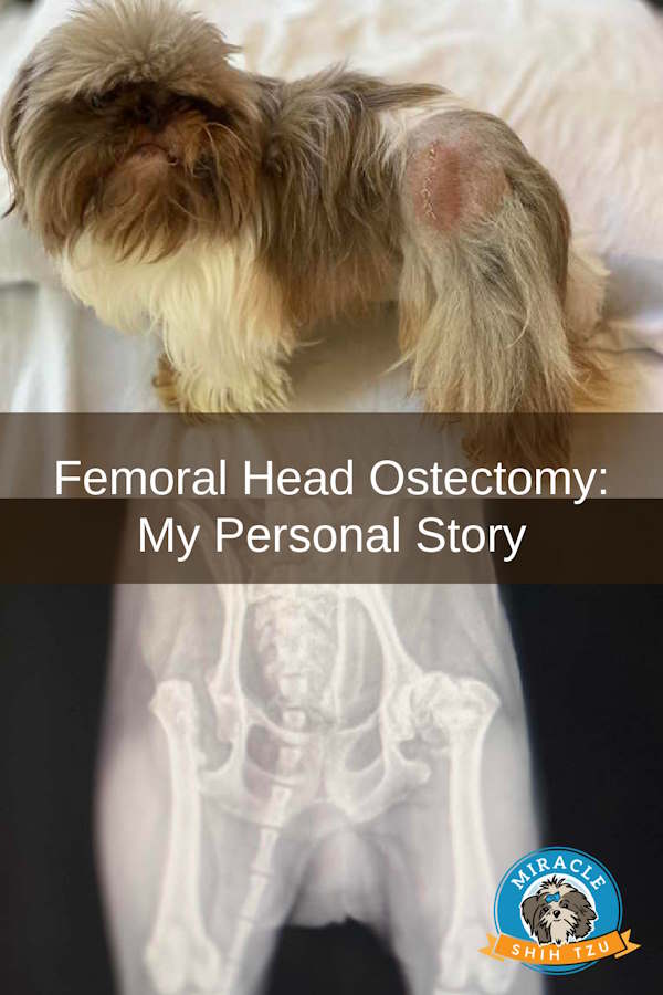 Femoral Head Ostectomy:  My personal story, pin image