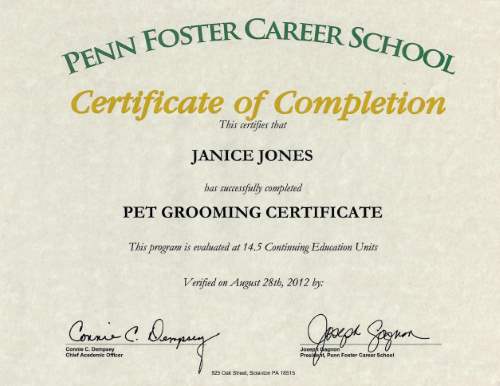 Pet Grooming Certificate Pet Grooming Certificate