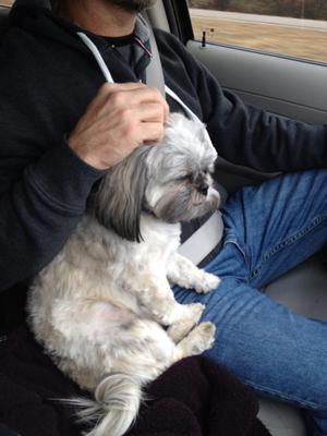 Jasmine at a year and a half