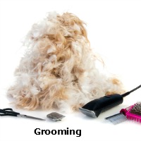 How to remove mats from your Shih Tzu's coat
