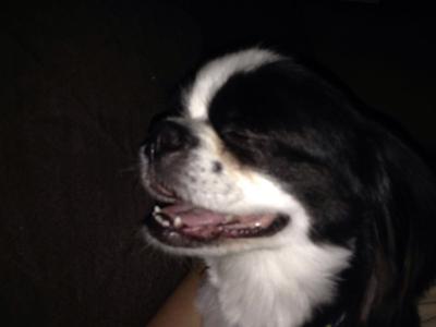 Weechee, the 8 year-old Prapso