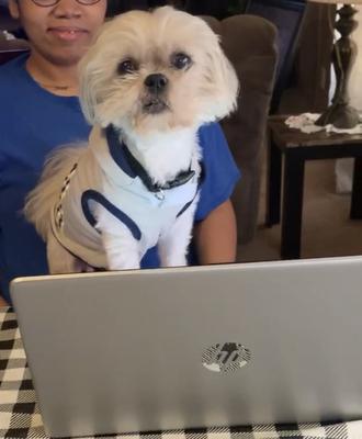 Prince helps with homework.