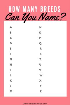 Name That Breed:  Game piece for use at a puppy shower.