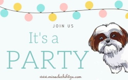 Plan and Host a Puppy Shower