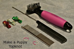 Shih Tzu Puppy Top Knot