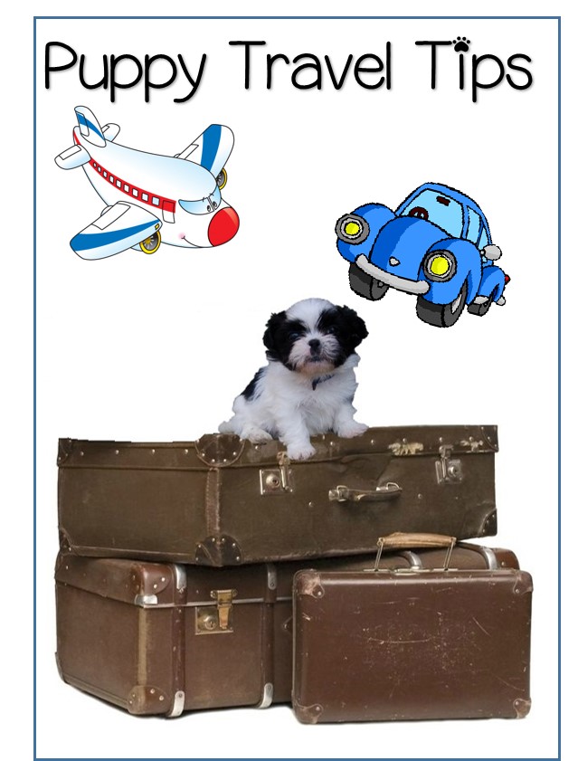 Puppy Travel How To Make it StressFree