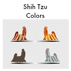 Shih Tzu Colors Link