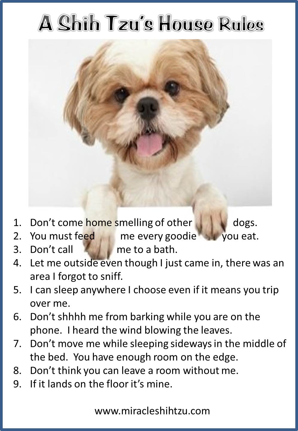 shih tzu house rules