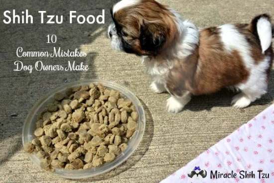 Shih Tzu Feeding Chart