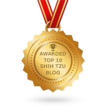 Top Shih Tzu Blog