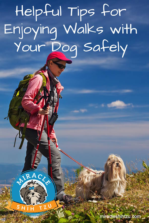 A girl and her Shih Tzu dog are taking a walk
