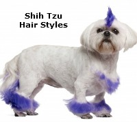 Shih Tzu Grooming Step By Step To Having The Best Looking Dog