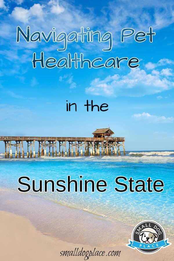 Scene of Coco Beach, Florida used in a pin image