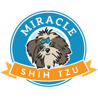 Miracle Shih Tzu Logo