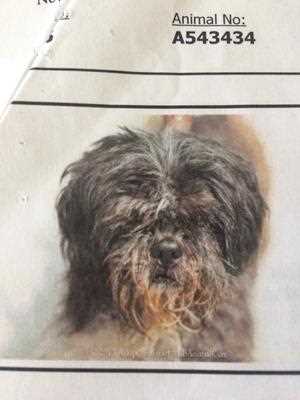 Lord Byron before and after rescue