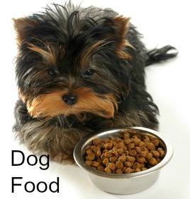 What Foods Might Make A Dog Itch What Foods Might Make A Dog Itch